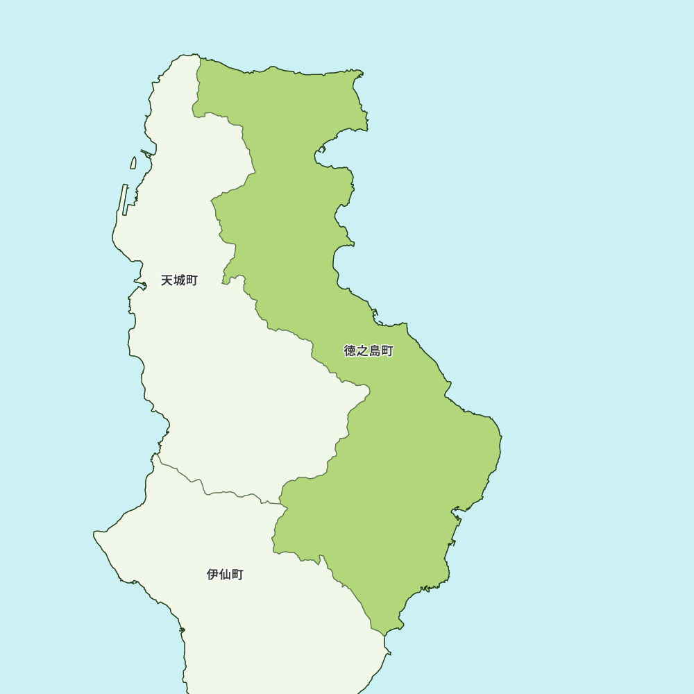 徳之島町のGoogleMap